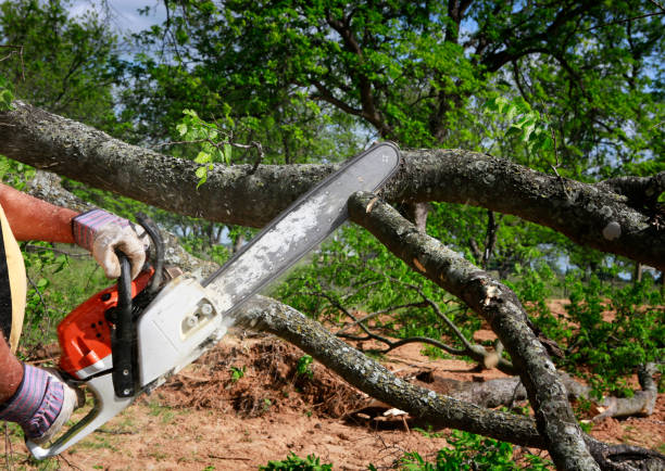 Lawn Drainage Solutions in Comanche, TX